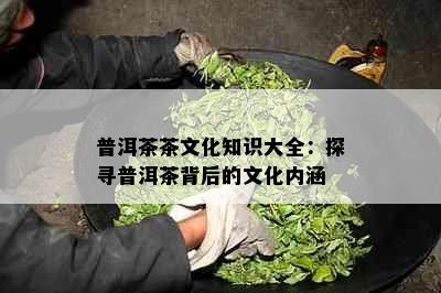 普洱茶茶文化知识大全：探寻普洱茶背后的文化内涵