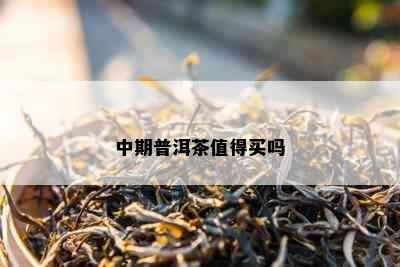 中期普洱茶值得买吗