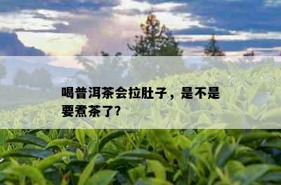 喝普洱茶会拉肚子，是不是要煮茶了？