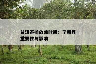 普洱茶摊放凉时间：了解其重要性与影响