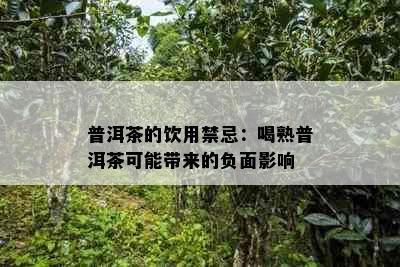 普洱茶的饮用禁忌：喝熟普洱茶可能带来的负面影响