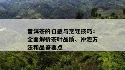 普洱茶的口感与烹饪技巧：全面解析茶叶品质、冲泡方法和品鉴要点