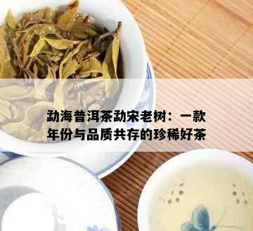 勐海普洱茶勐宋老树：一款年份与品质共存的珍稀好茶