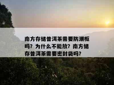 南方存储普洱茶需要防潮柜吗？为什么不能放？南方储存普洱茶需要密封袋吗？