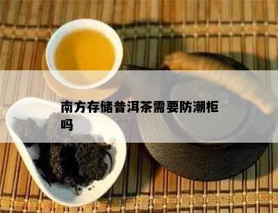 南方存储普洱茶需要防潮柜吗