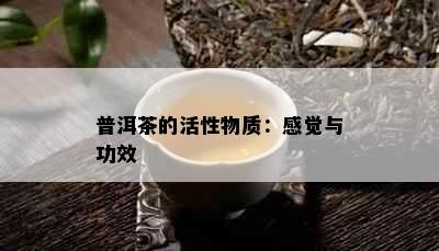 普洱茶的活性物质：感觉与功效