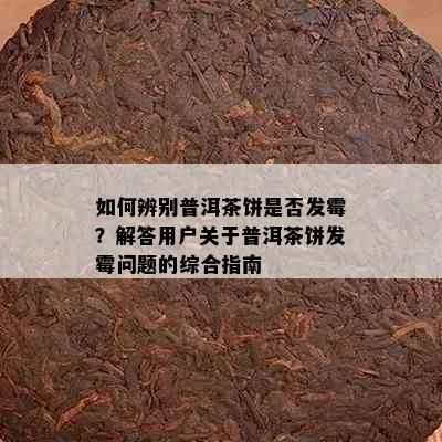 如何辨别普洱茶饼是否发霉？解答用户关于普洱茶饼发霉问题的综合指南