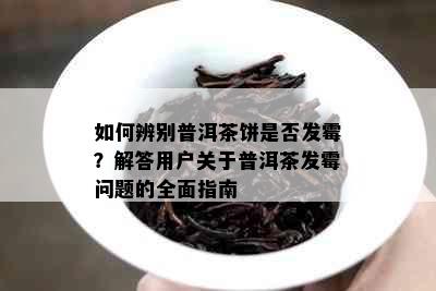 如何辨别普洱茶饼是否发霉？解答用户关于普洱茶发霉问题的全面指南