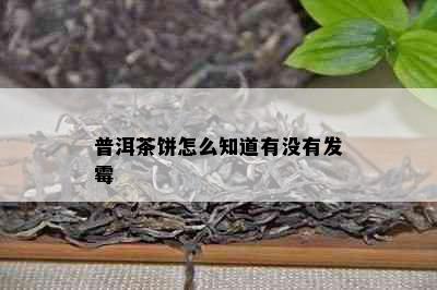 普洱茶饼怎么知道有没有发霉