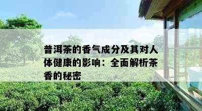 普洱茶的香气成分及其对人体健康的影响：全面解析茶香的秘密