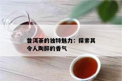 普洱茶的独特魅力：探索其令人陶醉的香气