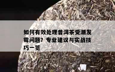 如何有效处理普洱茶受潮发霉问题？专业建议与实战技巧一览