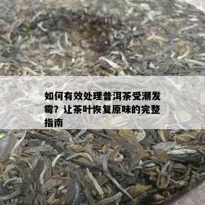 如何有效处理普洱茶受潮发霉？让茶叶恢复原味的完整指南