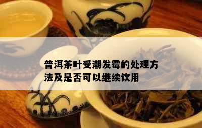 普洱茶叶受潮发霉的处理方法及是否可以继续饮用