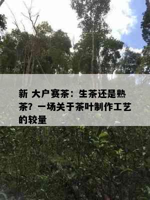 新 大户赛茶：生茶还是熟茶？一场关于茶叶制作工艺的较量