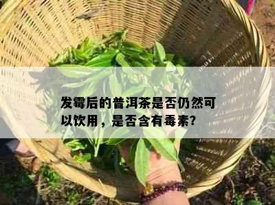 发霉后的普洱茶是否仍然可以饮用，是否含有素？