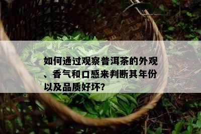 如何通过观察普洱茶的外观、香气和口感来判断其年份以及品质好坏？