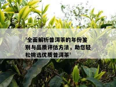 '全面解析普洱茶的年份鉴别与品质评估方法，助您轻松挑选优质普洱茶'