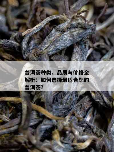 普洱茶种类、品质与价格全解析：如何选择最适合您的普洱茶？