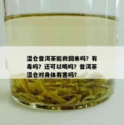 湿仓普洱茶能救回来吗？有吗？还可以喝吗？普洱茶湿仓对身体有害吗？