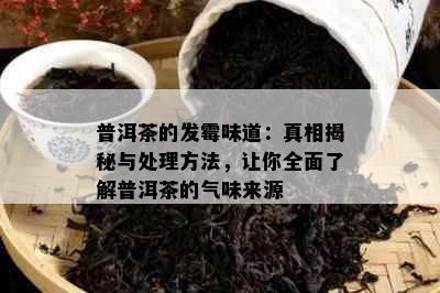 普洱茶的发霉味道：真相揭秘与处理方法，让你全面了解普洱茶的气味来源