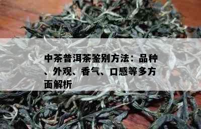 中茶普洱茶鉴别方法：品种、外观、香气、口感等多方面解析