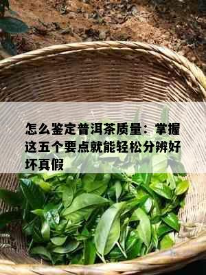 怎么鉴定普洱茶质量：掌握这五个要点就能轻松分辨好坏真假