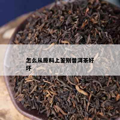 怎么从原料上鉴别普洱茶好坏