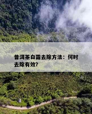 普洱茶白霜去除方法：何时去除有效？