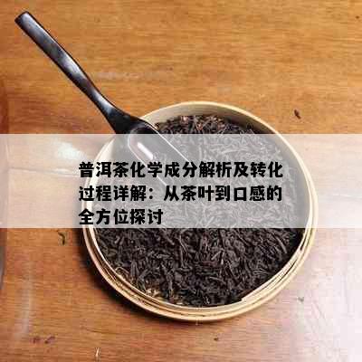 普洱茶化学成分解析及转化过程详解：从茶叶到口感的全方位探讨