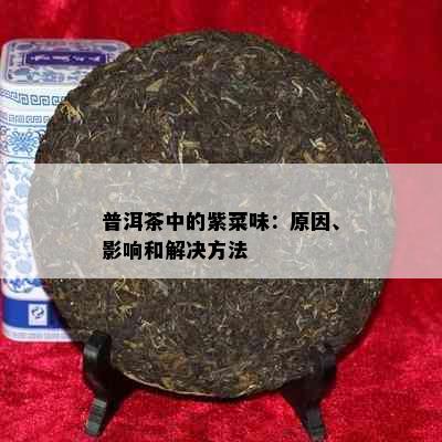 普洱茶中的紫菜味：原因、影响和解决方法