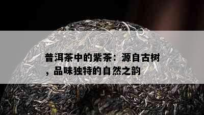 普洱茶中的紫茶：源自古树，品味独特的自然之韵