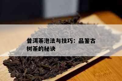 普洱茶泡法与技巧：品鉴古树茶的秘诀