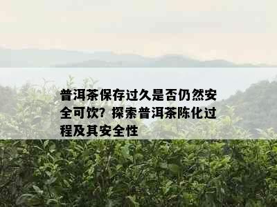 普洱茶保存过久是否仍然安全可饮？探索普洱茶陈化过程及其安全性