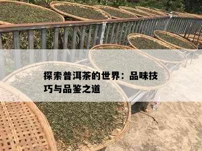 探索普洱茶的世界：品味技巧与品鉴之道