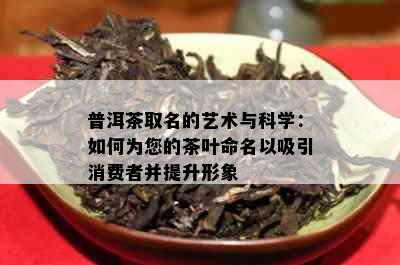 普洱茶取名的艺术与科学：如何为您的茶叶命名以吸引消费者并提升形象