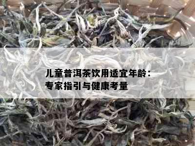 儿童普洱茶饮用适宜年龄：专家指引与健康考量