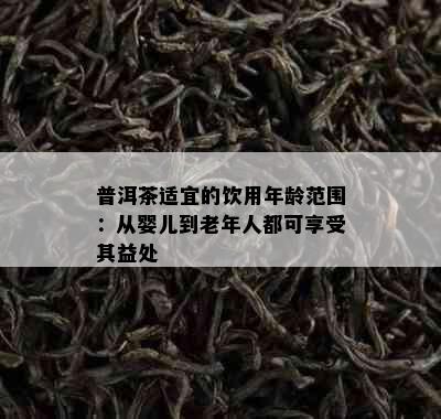 普洱茶适宜的饮用年龄范围：从婴儿到老年人都可享受其益处