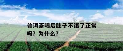 普洱茶喝后肚子不饿了正常吗？为什么？