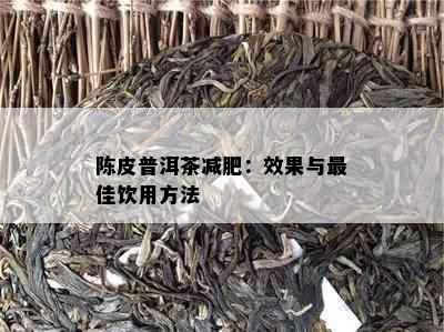 陈皮普洱茶减肥：效果与更佳饮用方法