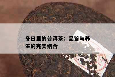 冬日里的普洱茶：品鉴与养生的完美结合