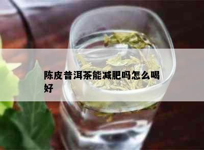 陈皮普洱茶能减肥吗怎么喝好