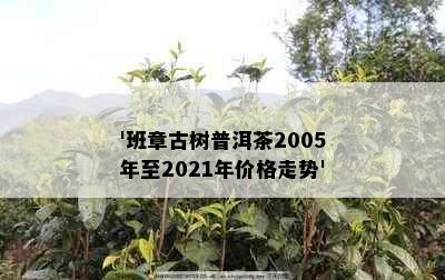 '班章古树普洱茶2005年至2021年价格走势'