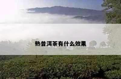 熟普洱茶有什么效果