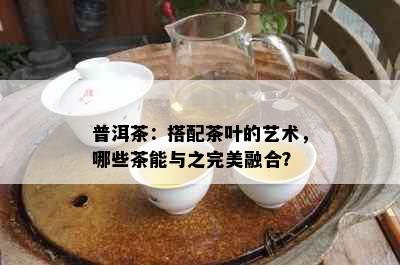 普洱茶：搭配茶叶的艺术，哪些茶能与之完美融合？