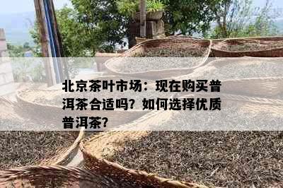 北京茶叶市场：现在购买普洱茶合适吗？如何选择优质普洱茶？