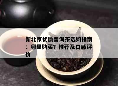 新北京优质普洱茶选购指南：哪里购买？推荐及口感评价