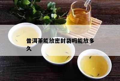 普洱茶能放密封袋吗能放多久