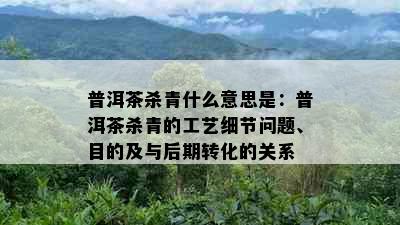 普洱茶杀青什么意思是：普洱茶杀青的工艺细节问题、目的及与后期转化的关系