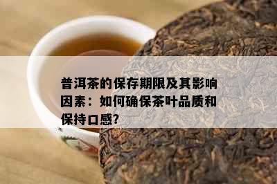 普洱茶的保存期限及其影响因素：如何确保茶叶品质和保持口感？